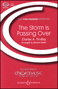 The Storm Is Passing Over (CMEINT)